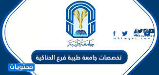 تخصصات جامعة طيبة فرع الحناكية 1443 موقع محتويات
