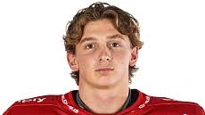 SCL Tigers' Claudio Moggi and Adrian Gerber will likely retire