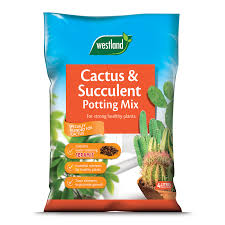Cacti and succulents sometimes look very similar, which inspires some people to try to grow them together or in similar conditions. Cactus And Succulent Potting Mix