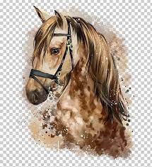 Horse Pony Watercolor Painting Drawing Png Clipart Animals Art Bridle Deviantart Equestrian Horse Head Drawing Watercolor Horse Watercolor Horse Painting