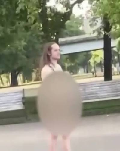 A naked man allegedly tried to abduct a 7-year-old girl from her mother at  Portland’s Waterfront Park, but bystanders fought him off with pepper spray  as police took nearly 30 minutes to arrive. ...