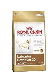 royal canin labrador adult 12 kg http www junglee com dp b005tvk1rm ref cm sw cl pt dp b005tvk1rm dog food recipes royal canin dog food royal canin