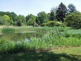 Freunde des palmengartens stiftung palmengarten und botanischer garten freundeskreis botanischer garten frankfurt am main e.v. Botanical Garden Frankfurt Wikipedia