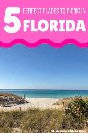 5 Family Picnic Ideas In Florida S Great Outdoors Visit Florida Florida Family Vacation Visit Florida Florida Travel
