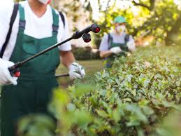 In addition to mosquitoes, our team of experts will eliminate problems associated with bed bugs, fire ants, termites, and a host of other troublesome pests. The Best Pest Control Companies Of 2021 This Old House