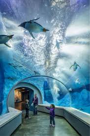 The Polk Penguin Conservation Center At The Detroit Zoo Won The 2017 Exhibit Award From The Association Zoo Architecture Aquarium Architecture Public Aquarium