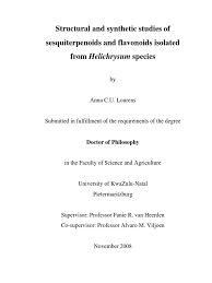 Image result for Helichrysum panduratum