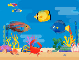 Prevent A Salty Situation Which Saltwater Fish Are