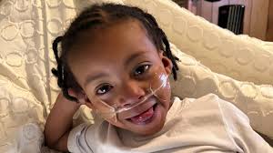 Fundraiser for Breanna Green by Melissa Feil : Supporting Breanna through  the loss of her sweet Carmello