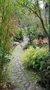 a beautiful cold and wet november garden finegardening terrasse jardin chemin de jardin allees jardin