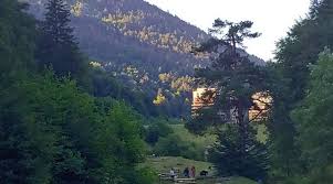 Primarul municipiului braşov, allen coliban, anunţă noi măsuri de relaxare a restricţiilor, după ce rata de infectare a coborât sub 1,5 la mie, scrie ioan va avea loc al doilea eveniment din maratonul liber la viaţă. Vacanta La Brasov Cazare Obiective Turistice Locuri De Vizitat I