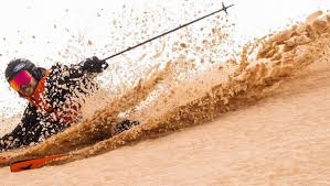 Caractéristiques physiques du renard des sables du sahara : Ilr6iezledkesm