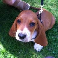 John Taylor Gatto and Charlotte Mason