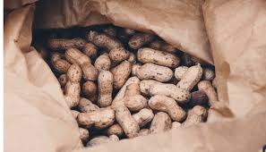 Does Eating Peanuts Cause Acne Acne Help Mdacne