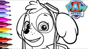 Skye Paw Patrol Para Colorear