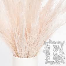 Image result for Agrostis products