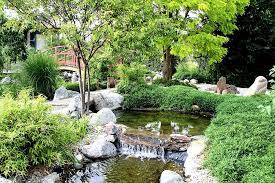 Dem alltag entfliehen und für kurze zeit in eine andere welt abtauchen. Leyk S Lotos Garten Frankens Paradiese