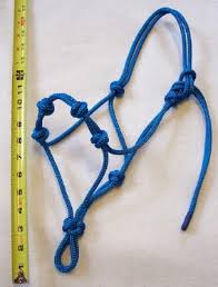 How to make a rope halter for a horse or donkey. Extra Knots Rope Halter