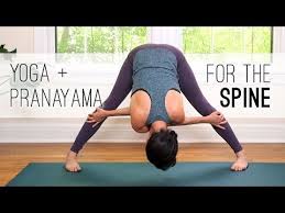 Yoga Pranayama For The Spine Yoga With Adriene Youtube With Images Yoga With Adriene