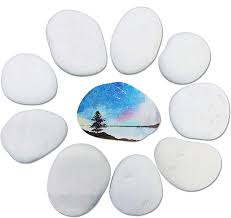 Use your painting skill to paint your family pet image on the rock. Amazon Com Tidyon 10 Rocks For Painting Smooth White Large River Rocks For Kids Painting And Crafting Garden Decor 2 4 Inches Garden Outdoor