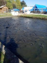 2018. 10. 05.Szarvas, HAKI – Szent Erzsébet Katolikus Általános ...