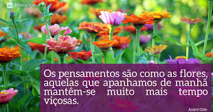 Bom Dia Domingo 40 Mensagens E Imagens Para Desejar Um Feliz Dia Pensador