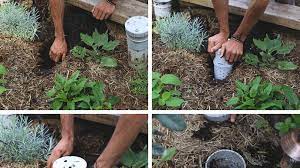 It is a form of direct composting where rather than making a big pile of compostable waste and turning it until it is ready to spread back onto your. Diy Worm Towers Food Matters