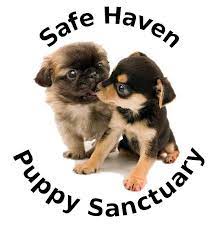 When someone is breeding puppies or breeding kittens, they are creating. Pets For Adoption At Safe Haven Puppy Sanctuary In Cookeville Tn Petfinder