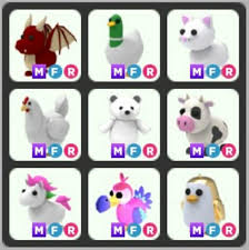 The golden penguin has a black counterpart, the penguin. Mfr Golden Penguin Dodo Chicken Cow Adopt Me Pet Roblox Video Gaming Gaming Accessories Game Gift Cards Accounts On Carousell