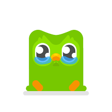 I just noticed that the title of the video was duolingo push and not duolingo plush Duolingo Redesigned Its Owl To Guilt Trip You Even Harder The Verge