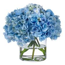 * free delivery available on flying flowers items. Light Blue Hydrangea In Cylinder Vase Best Online Flower Delivery In Bangalore Juneflowers Com