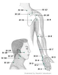 Acupressure Points Chart