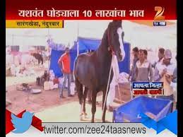 Sarangkheda Nandurbar Horses More Expensive Than Imported Sports Car Youtube