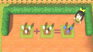 Dark and white maple, and four counter base colors. How To Get Hyacinths Using Hyacinths As A Diy Material Acnh Animal Crossing New Horizons Switch Game8