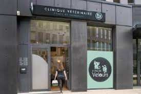 La clinique l'équipe nos services contact. Veterinaire De Garde Bordeaux 33000 Cabinet Et Urgence