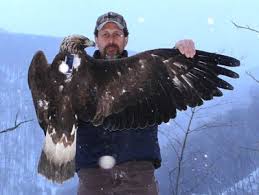 Virginia Golden Eagle Research and Conservation
