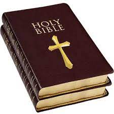 Sign up here for free bible studies. Free Bible How To Get A Free Bible By Mail Freebies And Free Samples