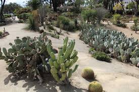 Three hours and a world of plants away. Balboa Park Sustainability Efforts Set World Class Standards Water News Network Our Region S Trusted Water Leader