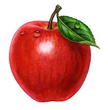 5 An Apple A Day Apple Painting Fruit Painting Watercolor Fruit