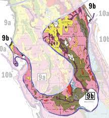We did not find results for: Plant Real Florida Bring Your Landscape To Life With Native Plants