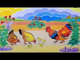 Cara Menggambar Ayam Jago Ayam Betina Anak Ayam Dan Pemandangan Dengan C Ayam Betina Gambar Cara Menggambar