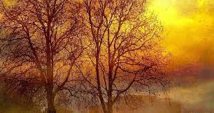 صور افضل خلفيات ايفون في العالم Iphone Wallpapers ورمزيات ايفون 8 بلس الاصلية ف Hd Nature Wallpapers Android Wallpaper Hd Nature Beautiful Nature Wallpaper Hd