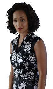 She is also an assistant to calvin zabo. Fandom Transparents Transparent Raina Agents Of Shield