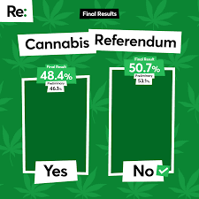 The first glimpse of the referendum results will be in two weeks, on october 30. Re Euthanasia Still A Yes Cannabis Still A No And Labour Keeps Majority With Special Votes