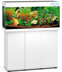 juwel aquarium kombination rio 180 led dehner