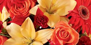 We did not find results for: Send Flowers Flowerssend Twitter