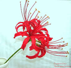 Livemaster Handmade Red Spider Lily Lilies Drawing Trendy Tattoos