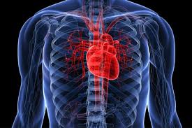 Image result for heart attack