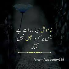 Pin By Soomal Mari On Urdu Poetry Pic Beautiful Words Words