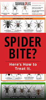 Here's everything you need to know about what a spider bite looks like and what to do about it. Pin On Survival Prepping